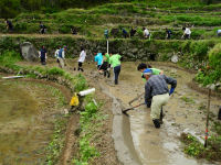石部棚田畦塗り作業