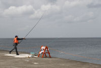 松崎新港釣り大会