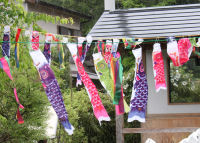 伊豆文邸横こいのぼり