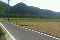 花畑から田んぼ