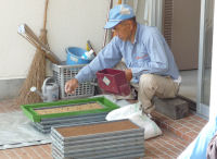 もち米のモミまき