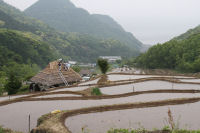 石部の棚田