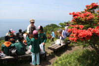 みどりの少年団ハイキング