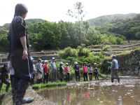 石部棚田百笑くらぶ田植作業