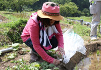 石部の灯りろうそく設置作業