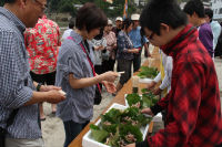岩地大漁まつり