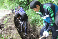 ゲンジボタル保護ボランティア