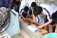 岩地地区自然体験教室受入れ