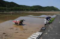 中耕地田植え作業