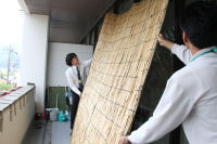 庁舎によしず設置