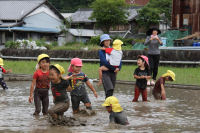 松崎幼稚園岩科園田んぼで泥遊び