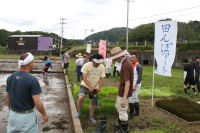 田んぼアート有志開拓団田植え