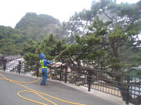 松くい虫防除のための薬剤地上散布