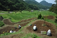 今日の石部棚田