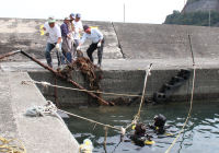 雲見漁港海底清掃
