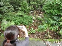 不法投棄防止パトロール