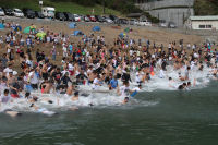 雲見温泉無料サザエ狩り