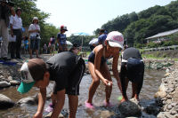 鮎のつかみどり