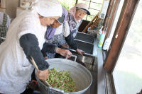 ハーブ実証栽培事業「ルバーブジャム作り」