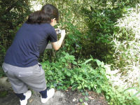 不法投棄取り締まりパトロール