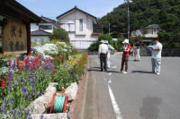 花壇コンクール「伏倉常盤会」