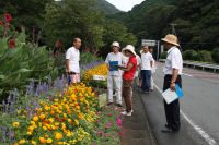 花壇コンクール「小杉原花の親睦会」