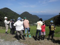 石部棚田の草取り