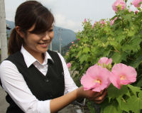 午後のスイフヨウ