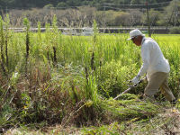 那賀良くする会草刈り作業