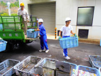 松崎中学校の２年生が職場体験学習体