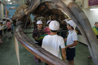 松崎小学校３年生「三浦探険」