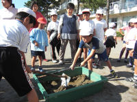 小学生が授業で光る泥だんごづくり