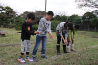松崎ポートクラブが松崎旧港で菜の花の種まき