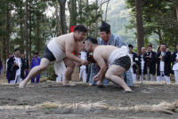 奉納相撲