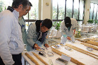 自然薯品評会審査