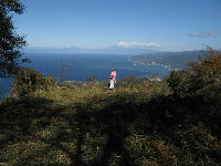 雲見の高通り山で草刈り作業