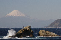 雲見海岸からの富士山