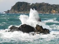 今日は朝から強い風が吹いています