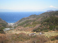 石部棚田と富士山