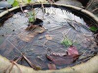氷が張っていました