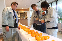 ポンカン品評会審査