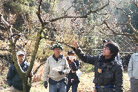 柿の剪定講習会