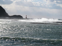 今日は大西が吹いています