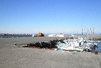 TBSドラマとんびのロケ地「松崎旧港」