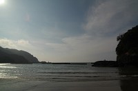 今日はあたたかな一日となりました