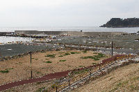 伊豆トレイルジャーニーのスタート会場となる松崎新港