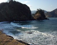 今日は西風の強い一日となりました