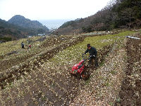 石部棚田で田おこし