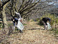 松崎町職員組合町内清掃作業