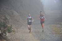 伊豆トレイルジャーニー